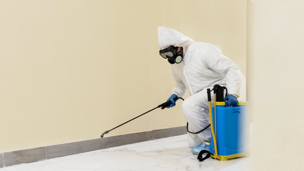 Dubai Mold Removal
