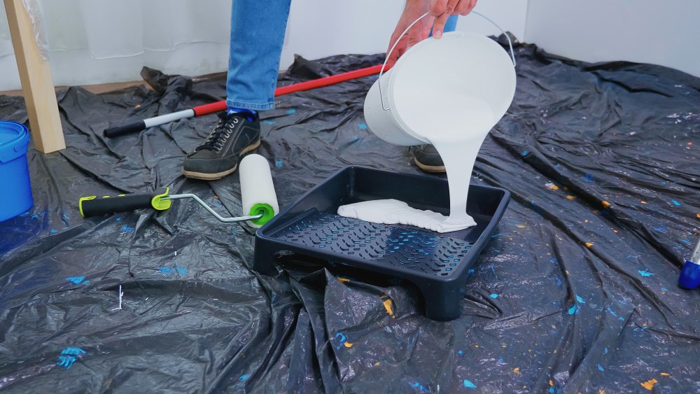 mold removal experts dubai